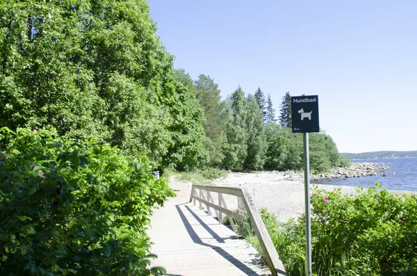 Bredsands badplats - bad med hund